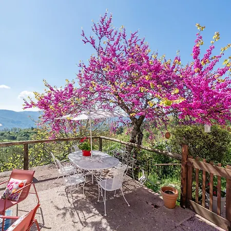 Sassi Scritti - Carpino Nero Apartman *