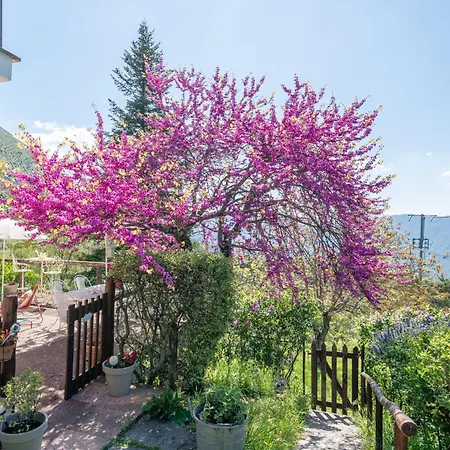 Sassi Scritti - Carpino Nero Apartman